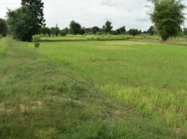  Land for sale in Khon Kaen, Mueang Roi Et, Khon Kaen