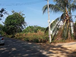  Grundstück zu verkaufen in Thalang, Phuket, Pa Khlok