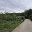  Land for sale in Phuket, Pa Khlok, Thalang, Phuket