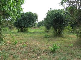  Grundstück zu verkaufen in Kaeng Khoi, Saraburi, Tha Khlo, Kaeng Khoi