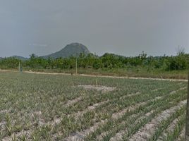  Земельный участок for sale in Wang Phong, Pran Buri, Wang Phong