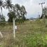  Land for sale in Bueng, Si Racha, Bueng
