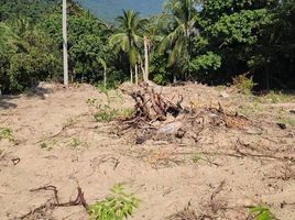  Land for sale in Santiburi Samui Country Club, Maenam, Maenam