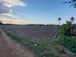  Grundstück zu verkaufen in Pak Tho, Ratchaburi, Don Sai