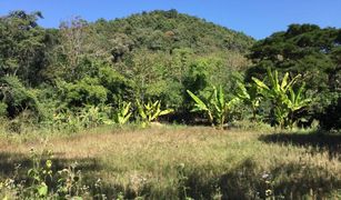 N/A Land for sale in Thuem Tong, Nan 