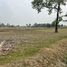  Land for sale in Prue, Prasat, Prue