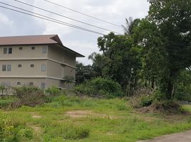  Land for sale in Bang Muang, Takua Pa, Bang Muang