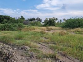  Land for sale in Phetchaburi, Laem Phak Bia, Ban Laem, Phetchaburi