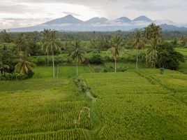  Land for sale in Bali, Tampak Siring, Gianyar, Bali