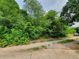  Land for sale in Suphan Buri, Sam Chuk, Sam Chuk, Suphan Buri