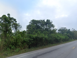  Land for sale in Mueang Ratchaburi, Ratchaburi, Namphu, Mueang Ratchaburi