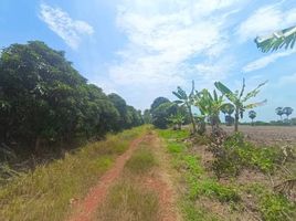  Grundstück zu verkaufen in Bang Khla, Chachoengsao, Hua Sai