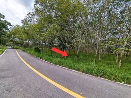  Land for sale in Chai Montri, Mueang Nakhon Si Thammarat, Chai Montri