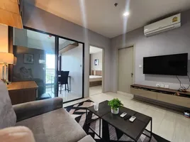 1 Schlafzimmer Wohnung zu vermieten im Life Sukhumvit 48, Phra Khanong, Khlong Toei, Bangkok