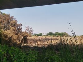  Land for sale in Don Mueang Airport, Sanam Bin, Khlong Kluea