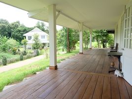 2 Schlafzimmer Haus zu verkaufen in San Sai, Chiang Mai, Nong Yaeng, San Sai