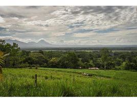  Land for sale in Costa Rica, San Carlos, Alajuela, Costa Rica