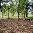  Land for sale in Pococi Limon, Pococi, Limon