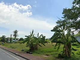  Grundstück zu verkaufen in Tha Sala, Nakhon Si Thammarat, Tha Sala, Tha Sala