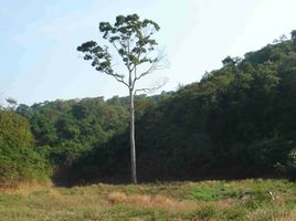  Grundstück zu verkaufen in Muak Lek, Saraburi, Mittraphap, Muak Lek, Saraburi