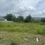  Land for sale in Thep Krasattri, Phuket, Thep Krasattri, Thalang