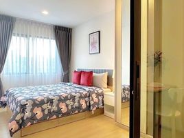 1 Schlafzimmer Appartement zu vermieten im Chewathai Hallmark Ladprao-Chokchai 4, Saphan Song, Wang Thong Lang