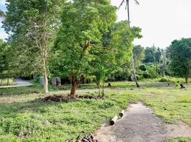  Grundstück zu verkaufen in Taling Ngam, Surat Thani, Taling Ngam