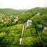  Land for sale in Koh Samui Surat Thani, Maenam