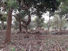  Land for sale in Trat, Wang Krachae, Mueang Trat, Trat