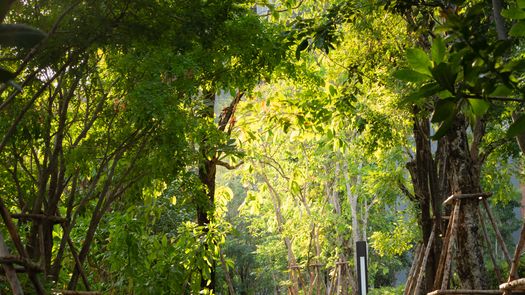 Photo 1 of the Walking / Running Track at Whizdom Connect Sukhumvit