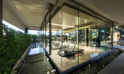 Фото 2 of the Communal Gym at The Room Sukhumvit 38