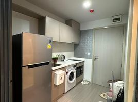 1 Bedroom Apartment for rent at Life Ladprao, Chomphon