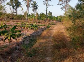  Land for sale in Khao Krapuk, Tha Yang, Khao Krapuk