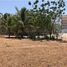  Land for sale in El Palmar Beach, San Carlos, San Carlos