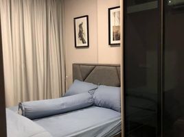 1 Bedroom Condo for rent at CIELA Sripatum, Lat Yao