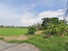  Grundstück zu verkaufen in Nong Suea, Pathum Thani, Bueng Bon, Nong Suea, Pathum Thani