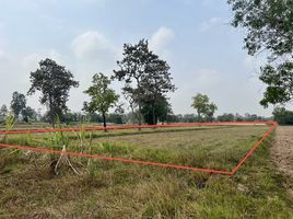  Land for sale in Prue, Prasat, Prue