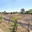  Land for sale in Wat That, Mueang Nong Khai, Wat That