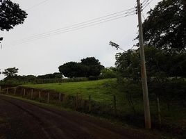  Land for sale in Grecia, Alajuela, Grecia