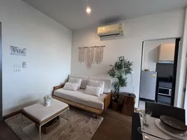 Studio Wohnung zu verkaufen im Hill Myna Condotel, Choeng Thale