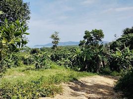  Grundstück zu verkaufen in Thalang, Phuket, Thep Krasattri, Thalang