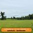  Land for sale in Nong Kaeo, Si Sa Ket, Nong Kaeo