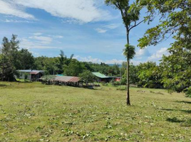  Grundstück zu verkaufen in Chiang Khan, Loei, Chiang Khan, Chiang Khan, Loei