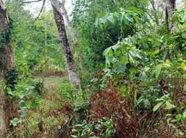  Land for sale in Chalong, Phuket Town, Chalong