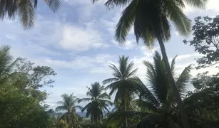 ขายที่ดิน N/A ใน เกาะเต่า, เกาะสมุย 