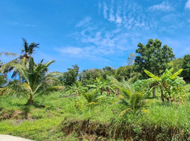  Land for sale in Koh Samui, Bo Phut, Koh Samui