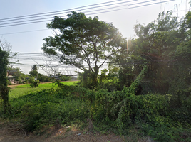  Land for sale in Bueng Bon, Nong Suea, Bueng Bon