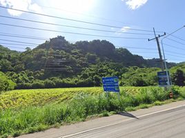  Land for sale in Phaya Yen, Pak Chong, Phaya Yen