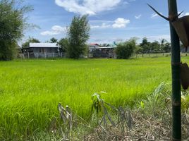  Земельный участок for sale in Roi Et, Khon Kaen, Mueang Roi Et, Roi Et