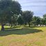  Land for sale in Huai Sak, Chiang Rai, Huai Sak, Mueang Chiang Rai, Chiang Rai